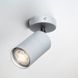 Спот Imperium Light Accent 591145.22.22 silver 591145.22.22 фото